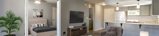 A living room with a grey couch, a television, and a plant.