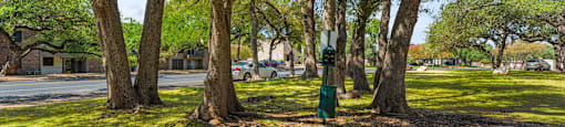 A tree-lined park with a green post in the middle.