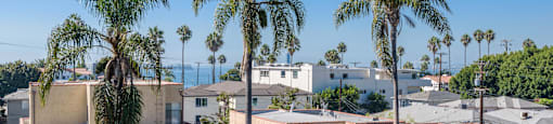 an aerial view of a neighborhood with palm trees and the ocean in the background