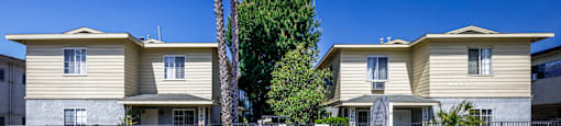 a sidewalk in front of two houses with a palm tree