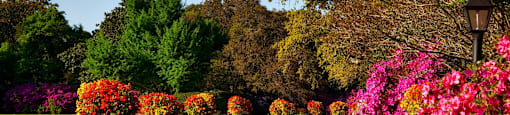 Outdoor garden