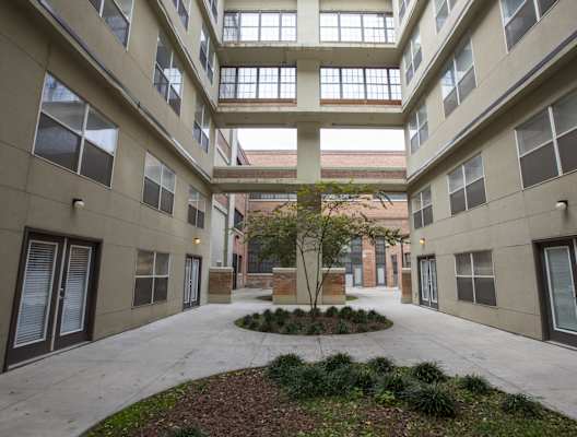 a courtyard with a tree in the middle of an apartment building