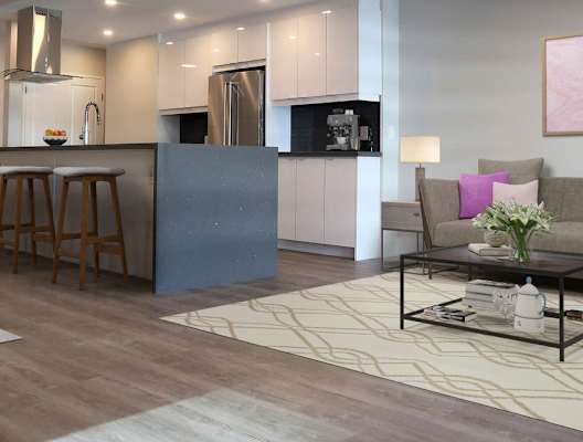 Open Concept Kitchen and Living Room