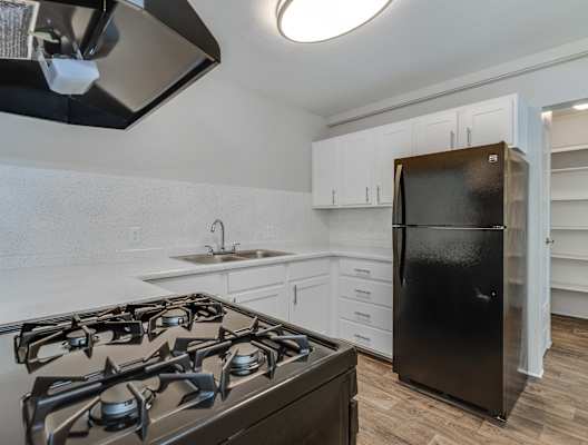 Villas at Vines Apartments Kitchen and Stove