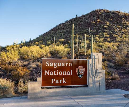 Saguaro National Park Sign at Pima Canyon, Arizona, 85704