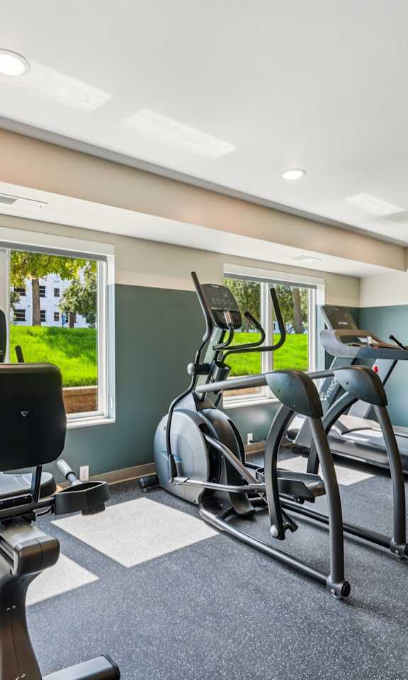 A home gym with a treadmill and a stationary bike.