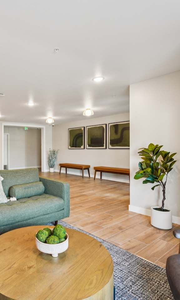 A living room with a green couch and a wooden coffee table.