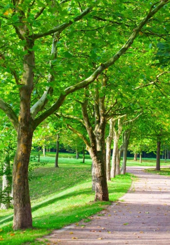 Yarrowood Highlands Apartments Bellevue, WA