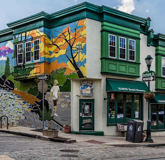 A building with a mural of a tree on its side.