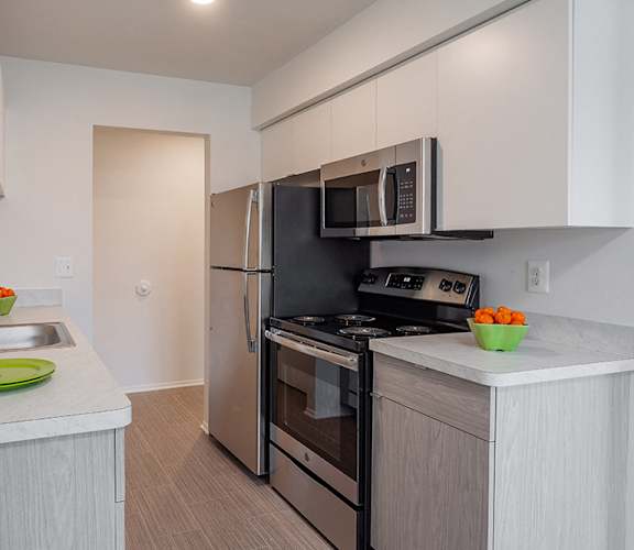 Contemporary kitchens at Lafayette Park Place, Detroit, MI, Michigan
