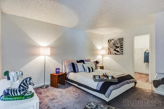 Modern Mueller Apartment 