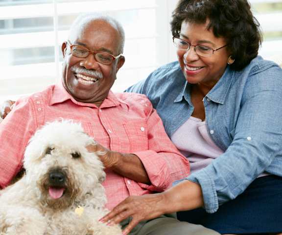stock image- senior couple with dog