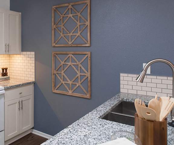 Sleek Granite Countertops in Kitchen