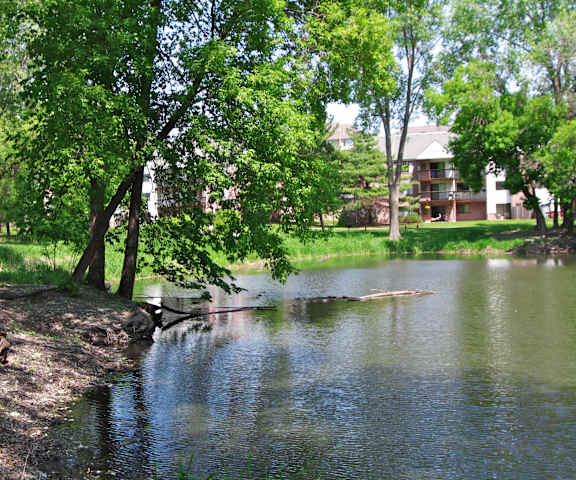 Walking Trail; Pond
