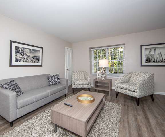 Living Room in Country Club Apartments in Williamsburg VA 