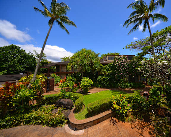 Coconut Inn garden