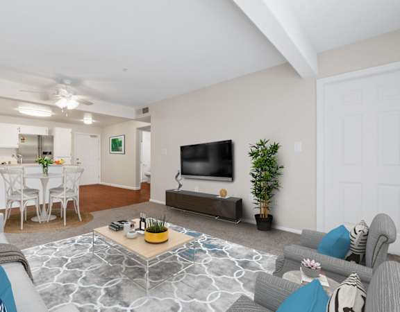 a living room with couches a coffee table and a tv