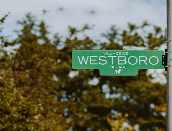 a street sign in front of some trees