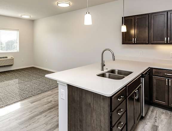 a kitchen with a sink and a window