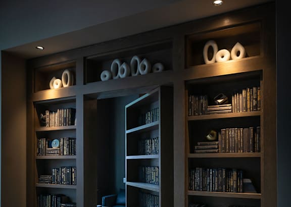 a dark room with bookshelves and a doorway