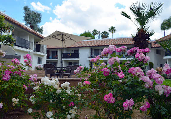 Casa de Valle Apartment Homes Courtyard
