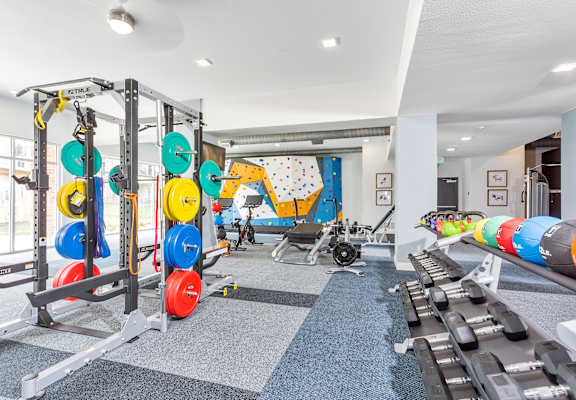 a gym with weights and a playground in the corner of a room