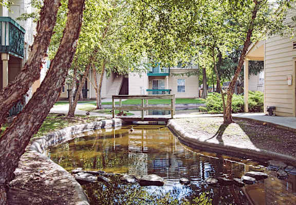 A pond with water lilies and a bench in the middle of it.