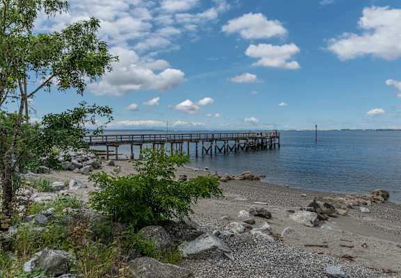 a view of the pier from the beach