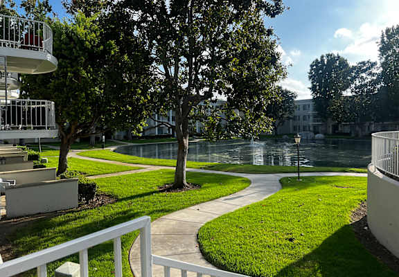 A tree in a grassy area with a white fence in the foreground.