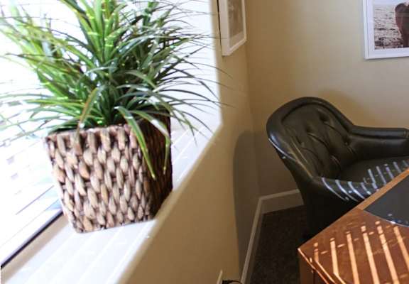 an office with a desk and a chair and a potted plant