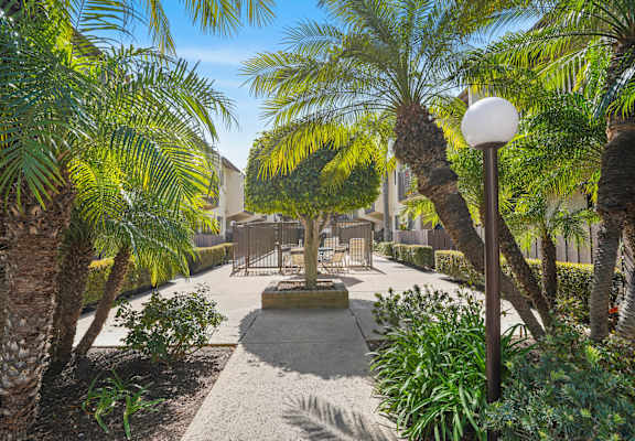 A sunny day in a tropical garden with palm trees and a bench.