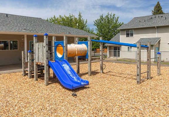 A playground with a blue slide and a climbing frame.