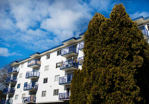 a large tree in front of an apartment building