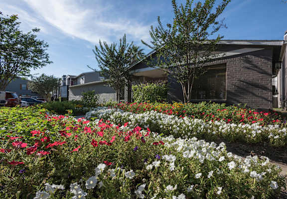 Beautiful landscaping