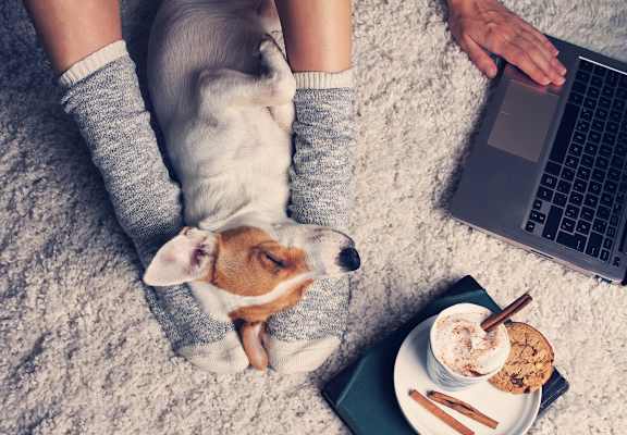 Pet Friendly Apartment Living at Century Millenia, Orlando, FL, 32839