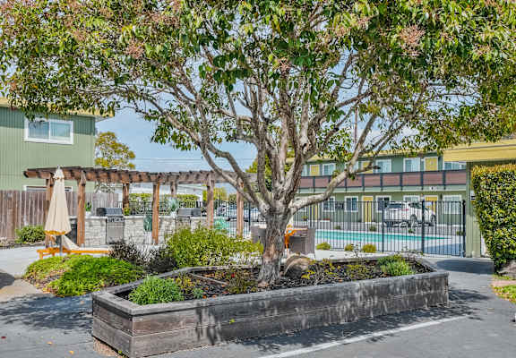 a tree in the middle of a parking lot in front of a building