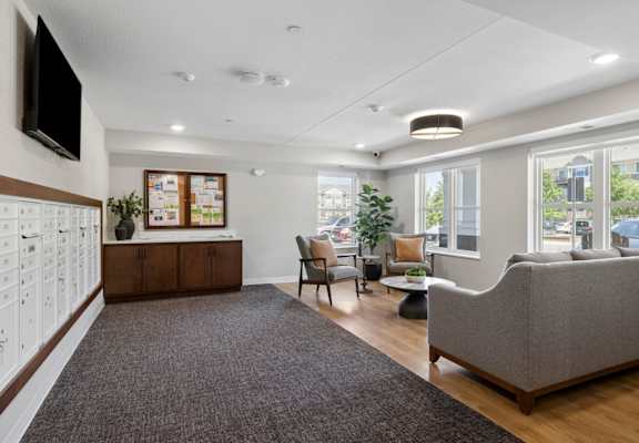 A living room with a grey couch, a brown rug, and a white wall with a TV on it.