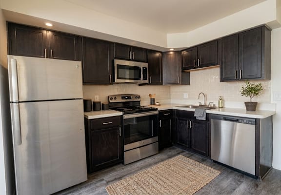 A modern kitchen with black cabinets and stainless steel appliances.