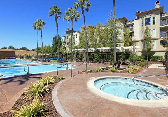 Swimming pool and exterior view of building at The Enclave CA, San Jose, 95134