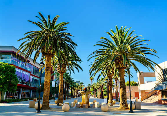 Two palm trees in the foreground with a building in the background.