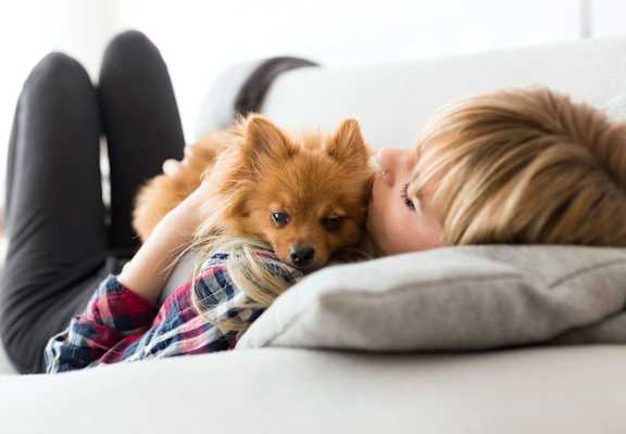 Pet Friendly Stamford Corners