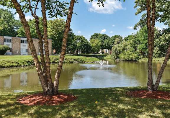 Pond at Harbor Lake Apartments