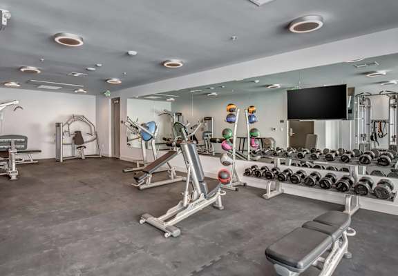 The Roy Lifestyle - Fitness Center