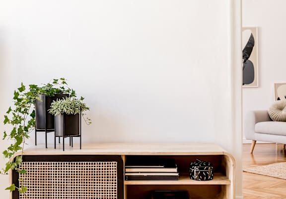 Background Image 2