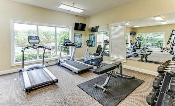A gym with treadmills, elliptical machines, and dumbbells.