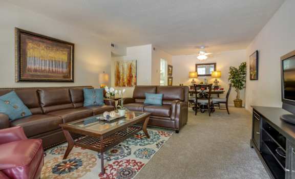 High Country Apartments Living Room Tuscaloosa, AL