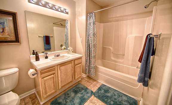 Mountain View Apartment Homes, Tuscaloosa, AL, Bathroom
