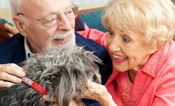 Morris Manor Apartments in Jacksonville, FL pet-friendly apartments