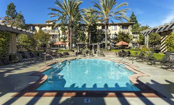 a resort style pool with chaise lounge chairs and palm trees in the background at 55+ Remington at Ladera Ranch, Ladera Ranch, CA