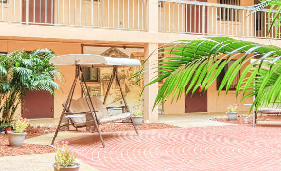 lush palm fronds and swing in patio courtyard of Casa San Pablo